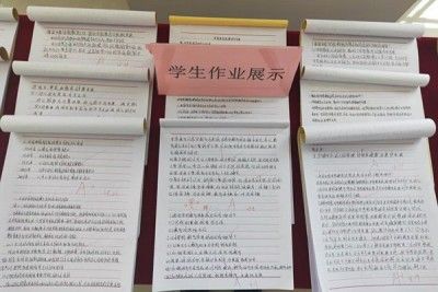 学生作业展示_副本