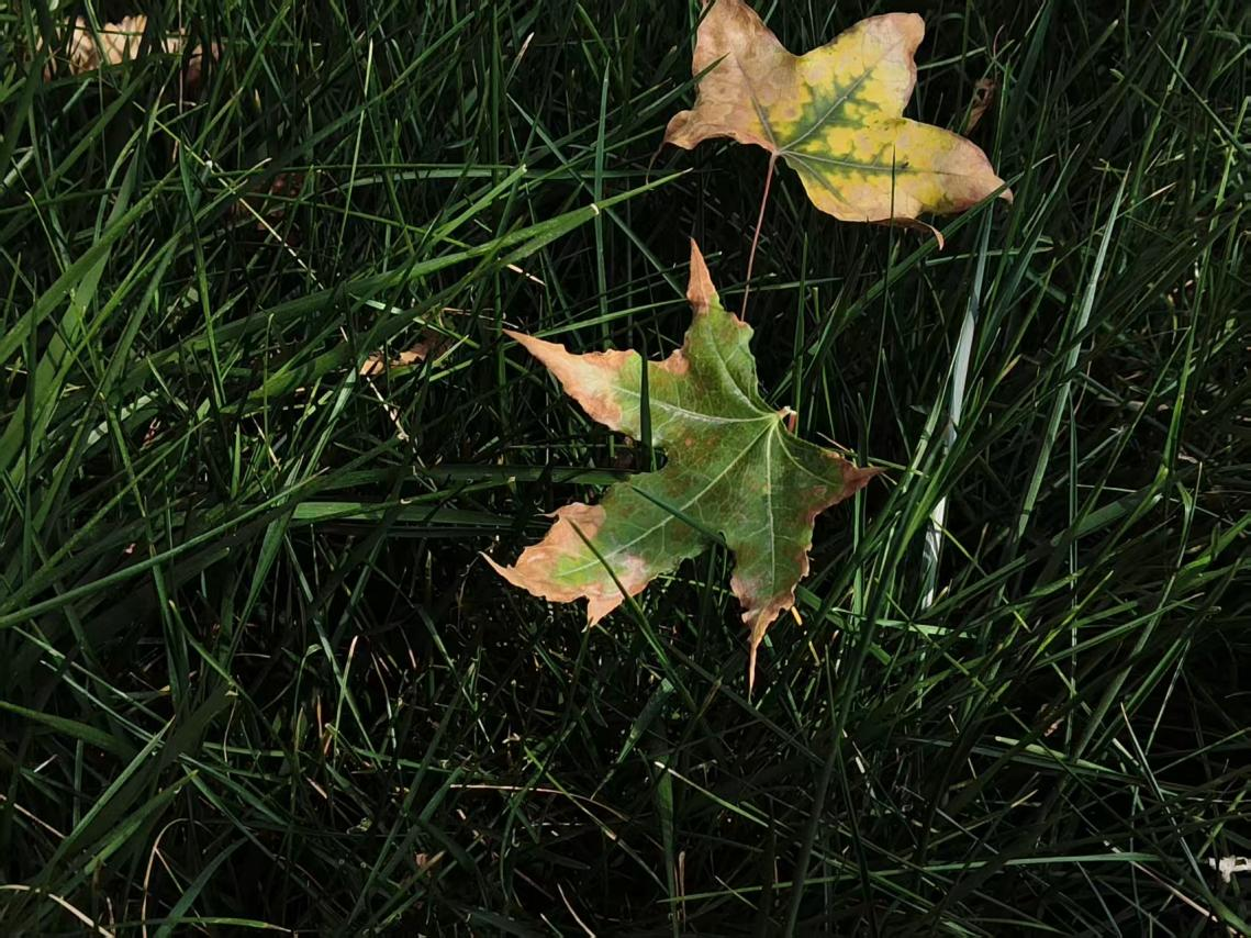 微信图片_2025-10-10_092731_559